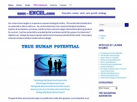 exec-excel.com Thumbnail