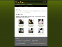 vilafalco.com Thumbnail