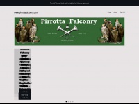 pirrottafalconry.com