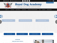 masterdog-training.com Thumbnail
