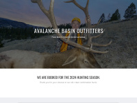 avalancheoutfitters.com