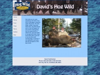 Davidshogwild.com