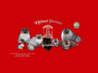 Kikilandcats.com