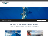 Sharkdiver.com