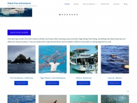 sharkdiveadventures.com