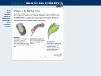seaslugforum.net Thumbnail