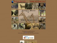 Serengetiphotos.com