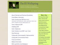 Eiwellspring.org