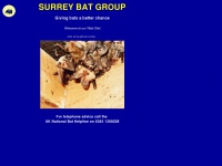 Surreybats.org.uk