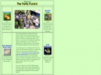 turtlepuddle.org Thumbnail