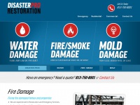disasterpros.com Thumbnail