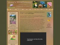 renyswildflowers.com