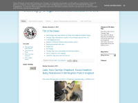 therapydogsinternational.blogspot.com Thumbnail