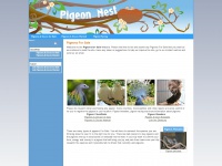 Pigeons-forsale.com