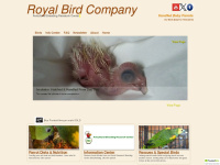 royalbirdcompany.com Thumbnail