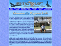 mumtazticloft.com Thumbnail
