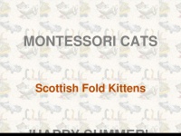 Montessoricats.com