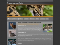 Queenannecats.co.uk