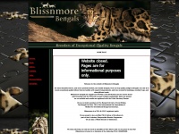 blissnmore.co.uk