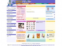 webfelin.com Thumbnail