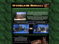 woodlandbengals.com Thumbnail