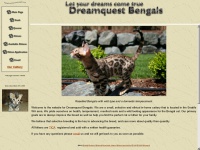 Dreamquestbengals.com