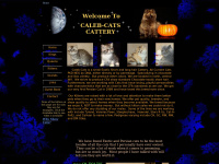 calebcats.com Thumbnail