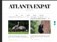 Atlanta-expat.com