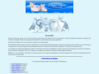 pageonepetcare.com Thumbnail