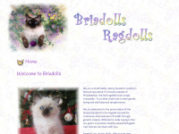 briadolls ragdolls