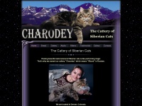 charodey.com