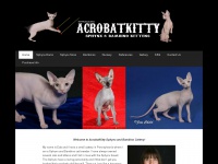 acrobatkitty.com