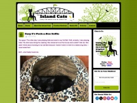 island-cats.com Thumbnail