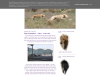 Caravanhounds.blogspot.com