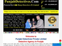 Punjabdetectives.com