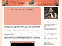 briard.com Thumbnail