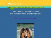 Chathamcollies.com
