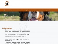 bouvs.org