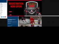 delaneyhockey.com Thumbnail