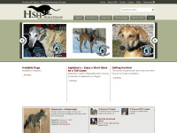 hispeedhounds.com Thumbnail