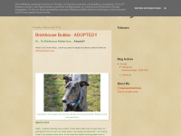 greyhoundfosterfamily.blogspot.com Thumbnail