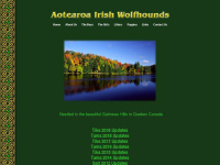 Aotearoaiws.net