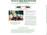 avogliairishwolfhounds.com