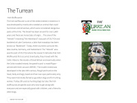 turrean.org Thumbnail