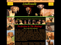 lionhounds.org Thumbnail