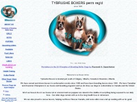 Tybrushe-boxers.com