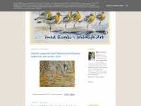 Imedessetti-wildlifeart.blogspot.com