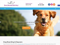 dogsunleasheddaycare.com Thumbnail