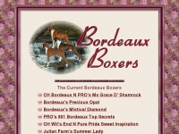 bordeauxboxers.com Thumbnail
