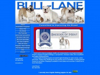 bulllanebulldogs.com Thumbnail